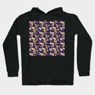 Barn Owl Party Hoodie